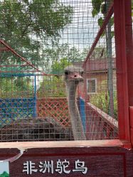 -萌宠亲子动物乐园(槐房万达店)