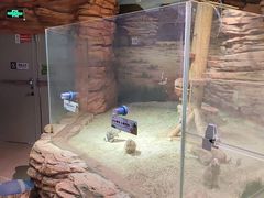 -正佳雨林生态植物园