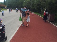 -奥林匹克森林公园南门-停车场