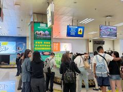 -德宏芒市国际机场