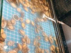 -甄品麦哲伦海鲜和牛自助(万达广场店)