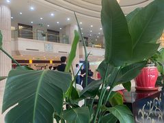 -齐汇维景大酒店游泳馆(山东政协大厦齐汇维景)