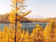 -塞罕坝国家级自然保护区