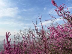 -天台山赤城山景区
