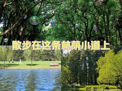 -共青国家森林公园-南大门停车场