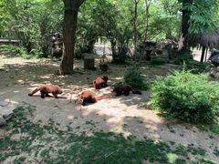 -西安秦岭野生动物园