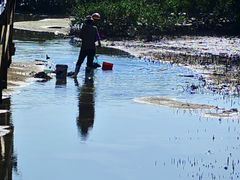 -北海金海湾红树林生态旅游区