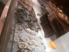 -鲤鱼洲酒店港鲤咖啡厅