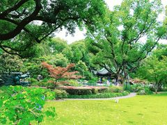 -申粤轩酒楼·三十年粤菜经典(丁香花园店)