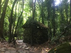 -莫里热带雨林景区