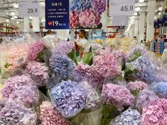 -山姆会员商店(上海浦东店)