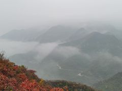 -南窖乡水峪村山情农家