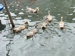 -东钱湖旅游度假区