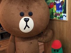 布朗熊-line friends(明洞旗舰店)