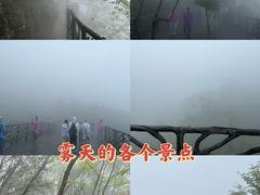 -张家界天门山国家森林公园