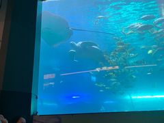 -洛阳龙门海洋馆