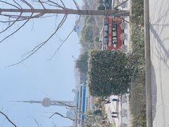 -Wolfgang’s Steakhouse 沃夫冈牛排馆(上海白玉兰广场店)