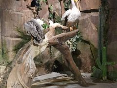 -zoonana室内动物园(东方福来德店)