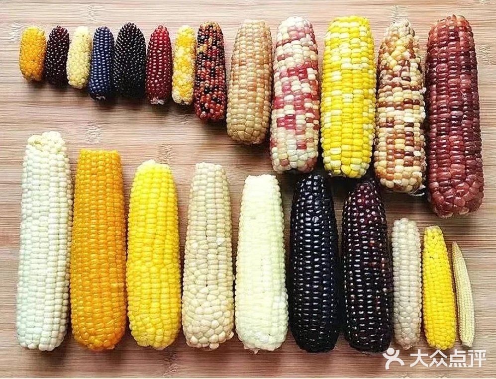 玉米减脂好帮手[点赞][点赞][点赞]