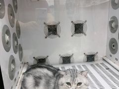 -瑞鹏宠物医院·超声·骨科·奇麟分院(蜀都万达店)