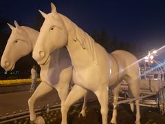 -长春公园(普阳街道)