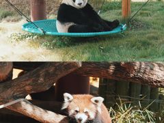 -杭州野生动物世界