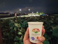 -杭州新新饭店·1913餐厅