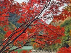 -叠溪松坪沟景区