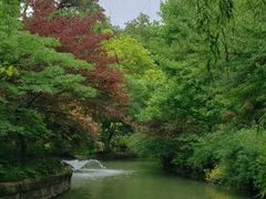 -上海醉白池公园