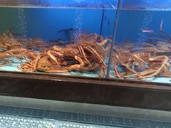 -阿伟海鲜楼·福建菜(延寿店)