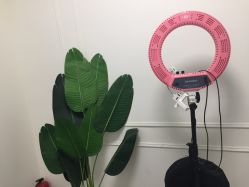 -BM SALON