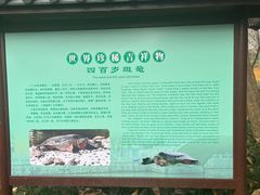 -西园寺素食(西园弄戒幢律寺店)
