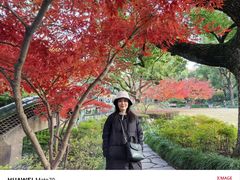 -申粤轩酒楼·三十年粤菜经典(丁香花园店)