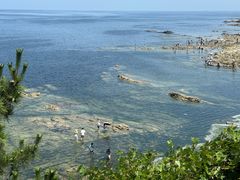 -养马岛旅游度假区