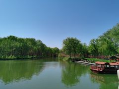 -溱湖国家湿地公园