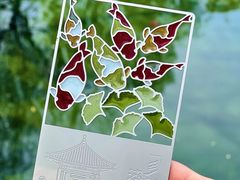 -趵突泉景区