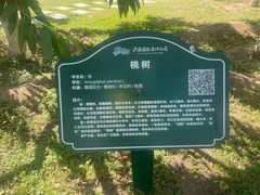-西安浐灞国家湿地公园