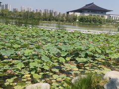 -西安世博园
