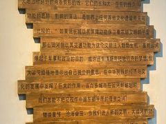 -中国京杭大运河博物馆