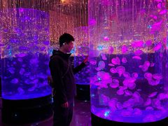 -哈尔滨波塞冬海底世界