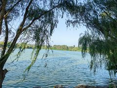-西安浐灞国家湿地公园