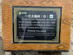 -大槐树寻根祭祖园