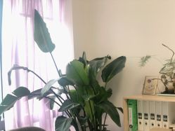 -芮娅时光半永久纹眉·美甲美睫·皮肤管理