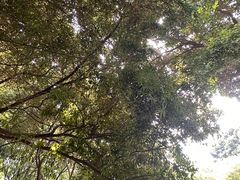 -成都市活水公园