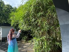 -深圳国际园林花卉博览园