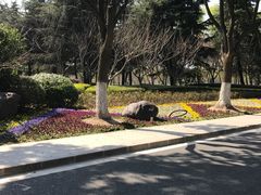 -昆山城市生态森林公园