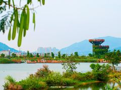 -芒洲湿地公园