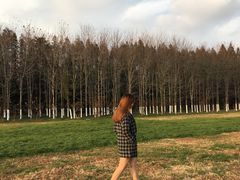 -汇泉广场