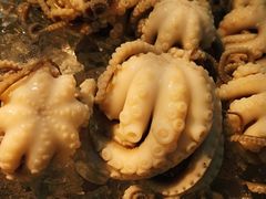 -铭聚章鱼土笋冻(松柏店)