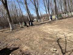 -亲兄弟真人CS团建拓展基地